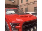 Hood (Raptor Style)